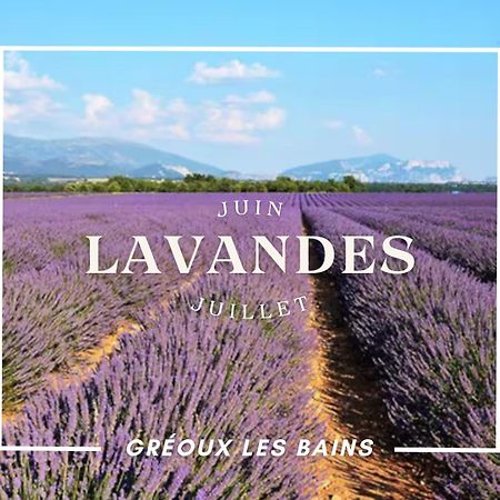 Oasis Tranquille - L'Evasion Au Verdon Gréoux-les-Bains Exterior foto