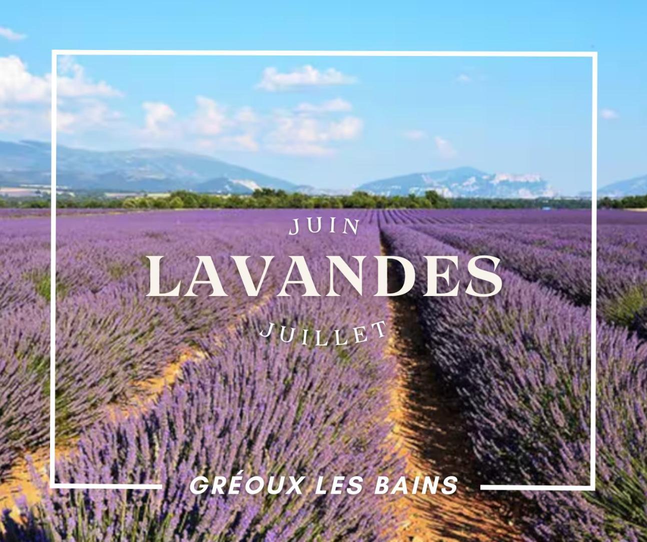 Oasis Tranquille - L'Evasion Au Verdon Gréoux-les-Bains Exterior foto
